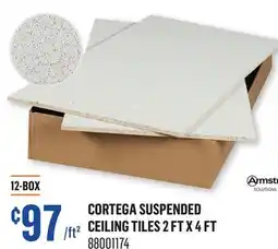 Canac Cortega suspended Ceiling Tiles offer