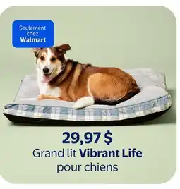 Walmart Grand lit Vibrant Life pour chiens offer