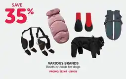 Mondou VARIOUS BRANDS Boots or coats for dogs offer