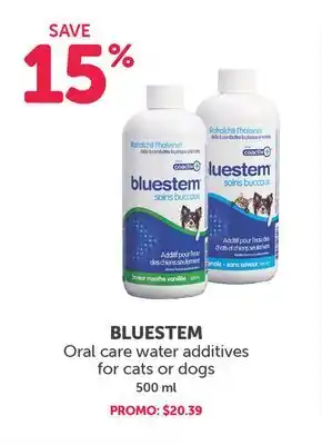 Mondou BLUESTEM Oral care water additives for cats or dogs offer