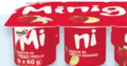 Walmart Yoplait Minigo 6 × 60 g yogurt offer