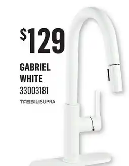 Canac Gabriel Kitchen Faucet offer