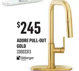 Canac Adore Pull-Out Kitchen Faucet offer