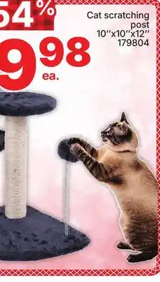Rossy Cat scratching post offer