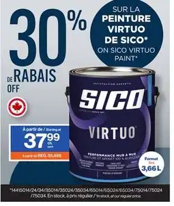 Patrick Morin SICO VIRTUO PAINT offer