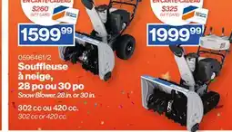 Patrick Morin Snow Blower offer