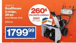 Patrick Morin Snow Blower, 30 in offer