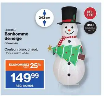 Patrick Morin Snowman offer