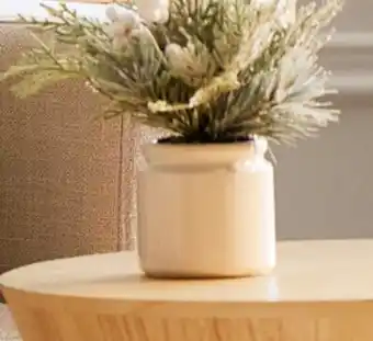 Walmart Petit pot de verdures hivernales Bouclair offer