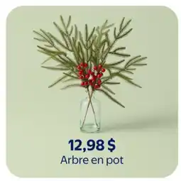 Walmart Arbre en pot offer
