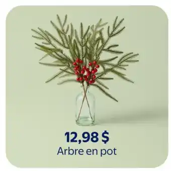 Walmart Arbre en pot offer