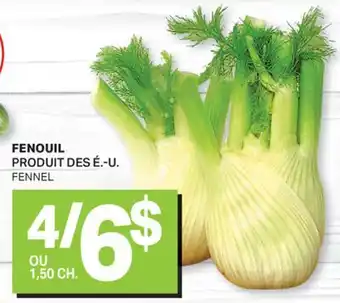 L'Intermarché FENOUIL | FENNEL offer