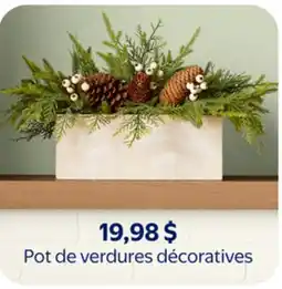 Walmart Pot de verdures décoratives offer