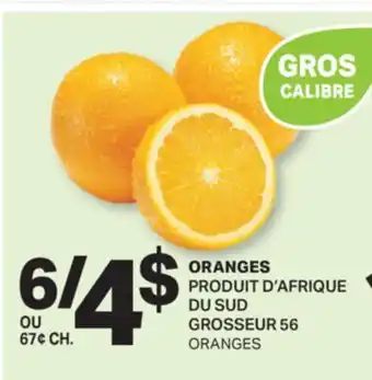 L'Intermarché ORANGES | ORANGES, GROSSEUR 56 offer