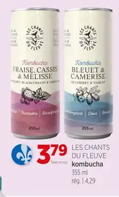 Avril kombucha offer