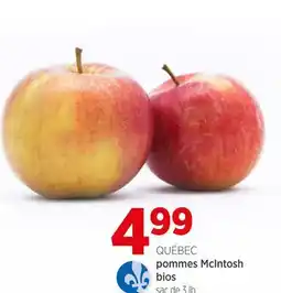 Avril QUÉBEC pommes Mclntosh bios offer