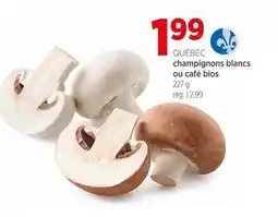 Avril QUÉBEC champignons blancs ou café bios offer