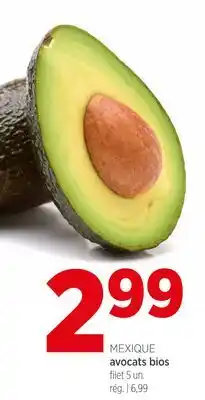 Avril MEXIQUE avocats bios offer