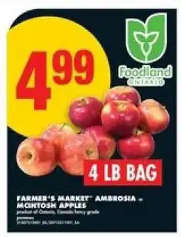 No Frills Farmer's Market Ambrosia or McIntosh Apples offer
