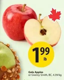 Save on Foods Gala Apples or Granny Smith offer
