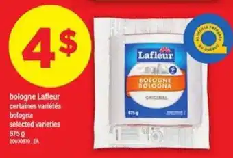 Maxi bologne Lafleur offer