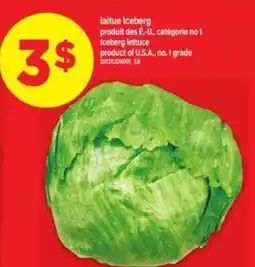 Maxi laitue Iceberg offer