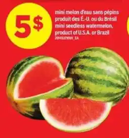 Maxi MINI SEEDLESS WATERMELON offer