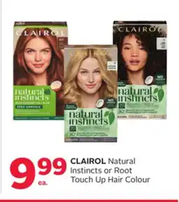 Rexall CLAIROL Natural Instincts or Root Touch Up Hair Colour offer