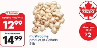 Wholesale Club Mushroom offer