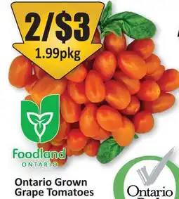 Starsky Ontario Grown Grape Tomatoes offer