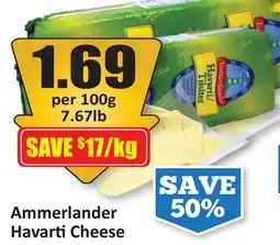 Starsky Ammerlander Havarti Cheese offer