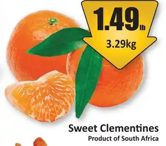 Starsky Sweet Clementines offer