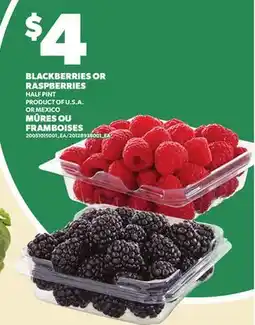 Independent City Market BLACKBERRIES OR RASPBERRIES, HALF PINT offer