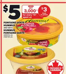 Independent City Market FONTAINE SANTÉ HUMMUS 260/283 G offer