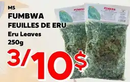 Marche Salaberry MS FUMBWA FEUILLES DE ERU offer