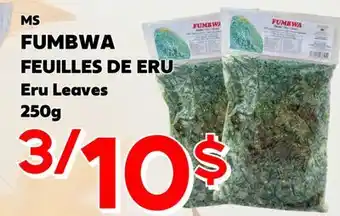 Marche Salaberry MS FUMBWA FEUILLES DE ERU offer