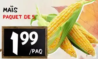 Marche Salaberry MAÏS offer