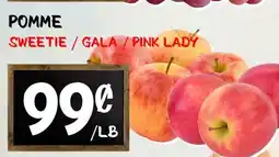 Marche Salaberry POMME offer