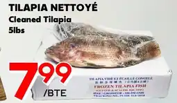 Marche Salaberry TILAPIA NETTOYÉ offer