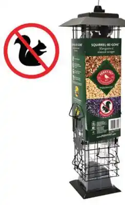 Matério MANGEOIRE SQUIRREL-BE-GONE offer