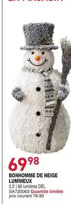 Matério BONHOMME DE NEIGE LUMINEUX offer