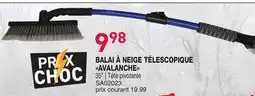 Matério BALAI À NEIGE TÉLESCOPIQUE AVALANCHE offer