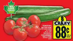 Food Basics TOMATOES ON THE VINE offer