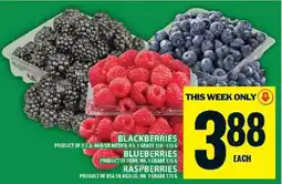 Food Basics Blackberries, Blueberries, Raspberries offer
