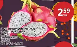 Kim Phat DRAGON FRUIT offer