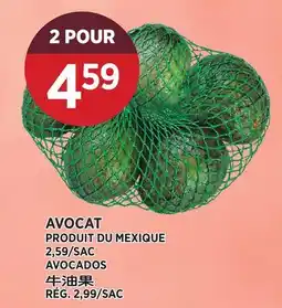 Kim Phat AVOCADOS offer