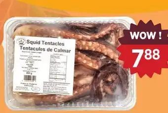 Kim Phat MARCO POLO FROZEN SQUID TENTACLES offer