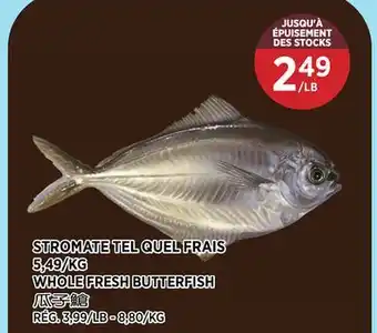 Kim Phat WHOLE FRESH BUTTERFISH offer