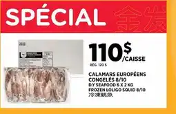 Kim Phat D.Y SEAFOOD FROZEN LOLIGO SQUID 8/10 offer