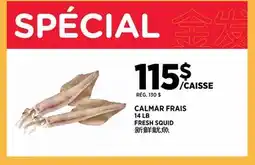 Kim Phat FRESH SQUID offer